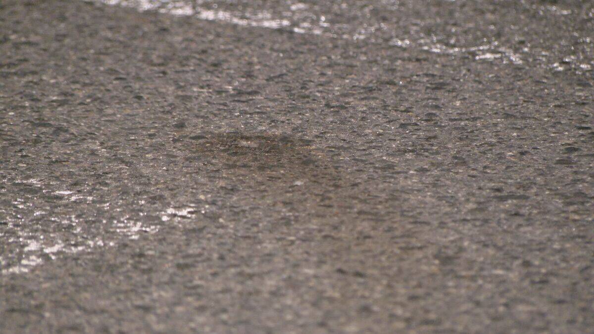 「大したことはないと思った」…名古屋・南区でひき逃げ　75歳の女を逮捕