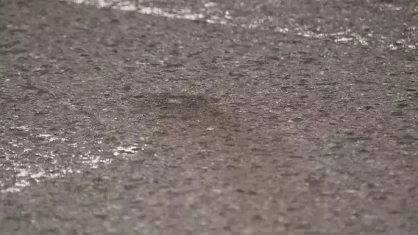 「「大したことはないと思った」…名古屋・南区でひき逃げ　75歳の女を逮捕」の画像