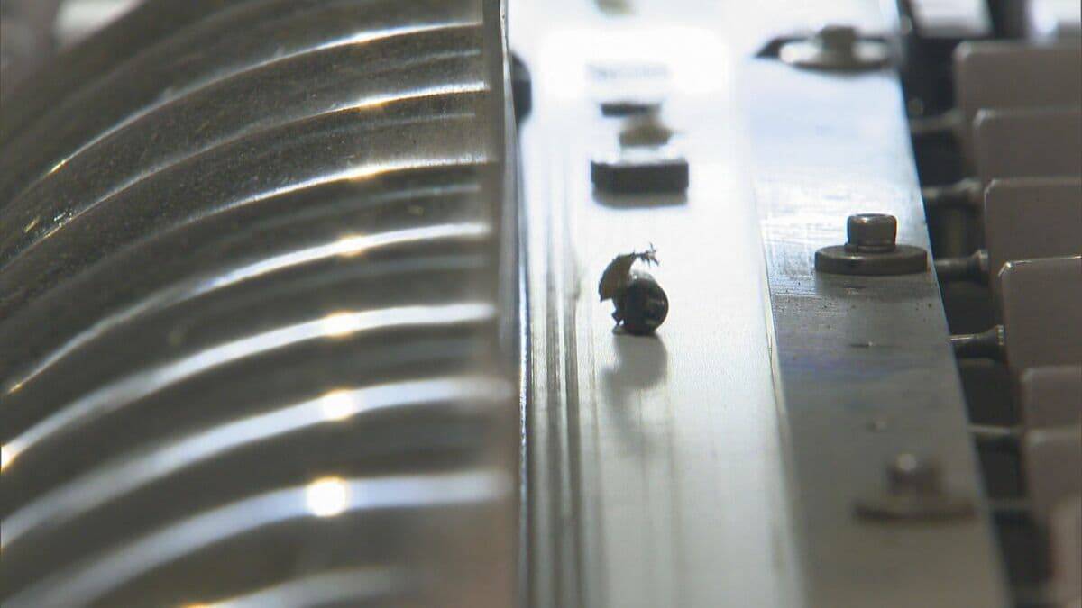 “ごみ”から大量の金が!? パソコン基板1トンから天然金鉱山の数十倍の金 “都市鉱山”が資源不足の日本を救う?