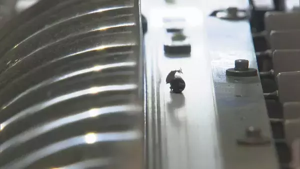 「“ごみ”から大量の金が!? パソコン基板1トンから天然金鉱山の数十倍の金 “都市鉱山”が資源不足の日本を救う?」の画像