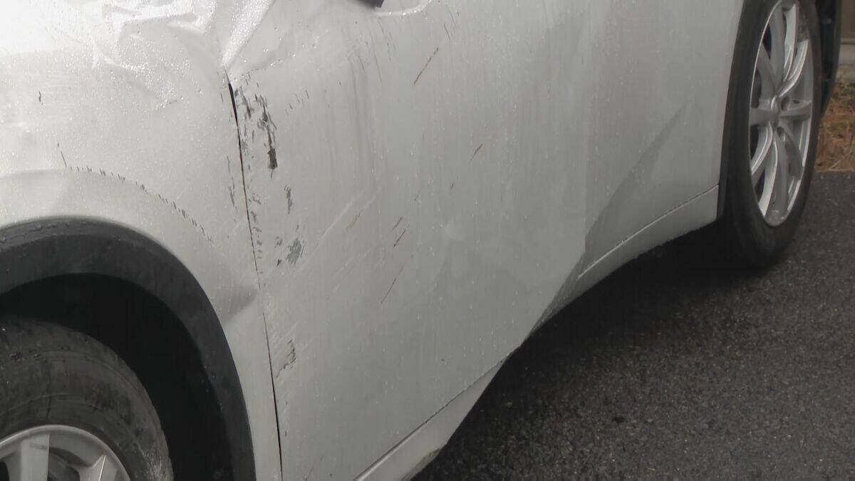 中央分離帯に衝突…酒気帯び運転の疑いで会社役員を逮捕 「運転代行に事故られてとんずらこかれた」と立ち去っていた 容疑を否認 名古屋・守山区【画像あり】