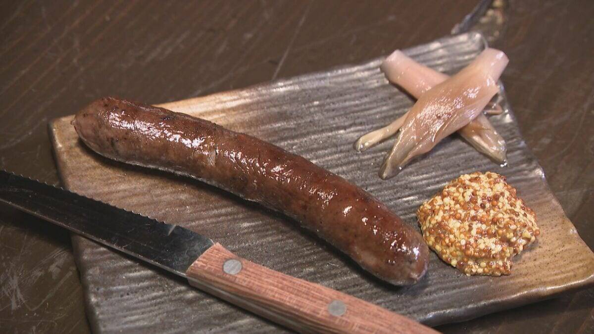 なぜ2025年はクマ被害相次いだ？猟師が感じる“違和感” 冬眠に入るクマは歩いた痕跡を消す… “唯一の天敵”猟師から身を守るため【大石が聞く】