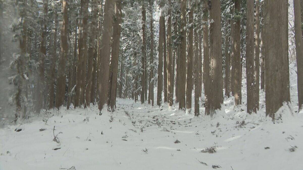 なぜ2025年はクマ被害相次いだ？猟師が感じる“違和感” 冬眠に入るクマは歩いた痕跡を消す… “唯一の天敵”猟師から身を守るため【大石が聞く】