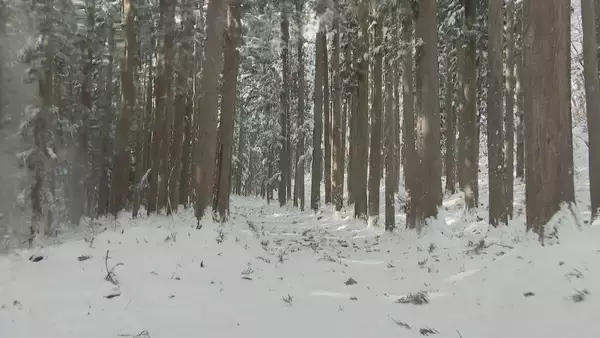 「なぜ2025年はクマ被害相次いだ？猟師が感じる“違和感” 冬眠に入るクマは歩いた痕跡を消す… “唯一の天敵”猟師から身を守るため【大石が聞く】」の画像