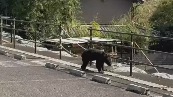 「なぜ2025年はクマ被害相次いだ？猟師が感じる“違和感” 冬眠に入るクマは歩いた痕跡を消す… “唯一の天敵”猟師から身を守るため【大石が聞く】」の画像