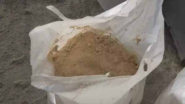 「｢1メートルから80センチほどのクマが目の前に｣ 冬眠終わり…出没相次ぐ 岐阜の小学校近くで目撃 猟友会が箱わなを仕掛ける対策も」の画像