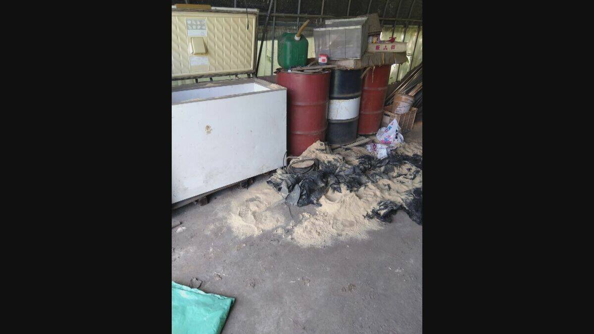 ｢1メートルから80センチほどのクマが目の前に｣ 冬眠終わり…出没相次ぐ 岐阜の小学校近くで目撃 猟友会が箱わなを仕掛ける対策も