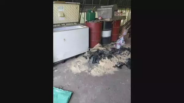 「｢1メートルから80センチほどのクマが目の前に｣ 冬眠終わり…出没相次ぐ 岐阜の小学校近くで目撃 猟友会が箱わなを仕掛ける対策も」の画像