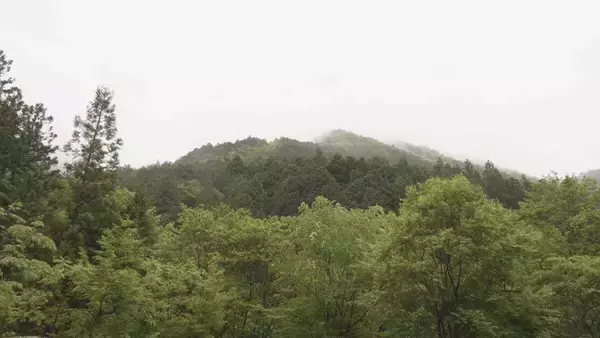 岐阜・中津川市の小秀山で50代の男性遺体 山岳遭難で行方不明の男性か