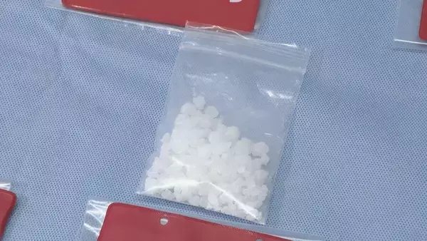 「落とした袋を調べたら…営利目的で麻薬のケタミン所持の疑い ベトナム国籍の男2人を逮捕 いずれも ｢私のものではない｣と容疑否認」の画像