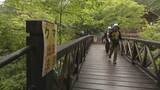 「岐阜県・中津川市の山で東京の55歳の男性が行方不明　下山予定の日に帰宅せず遭難か　警察が捜索」の画像4