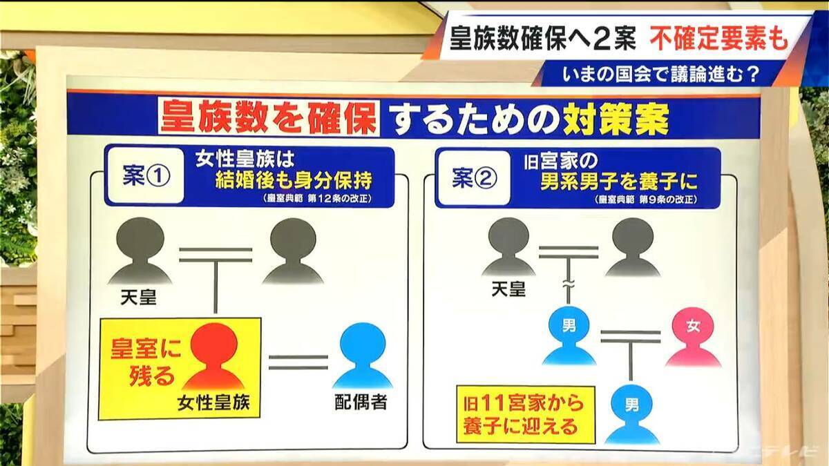 現在16人…皇族数を確保するための2案とは？その際 改正が必要となる｢皇室典範｣とは【大石邦彦解説】