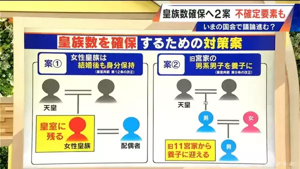 「現在16人…皇族数を確保するための2案とは？その際 改正が必要となる｢皇室典範｣とは【大石邦彦解説】」の画像