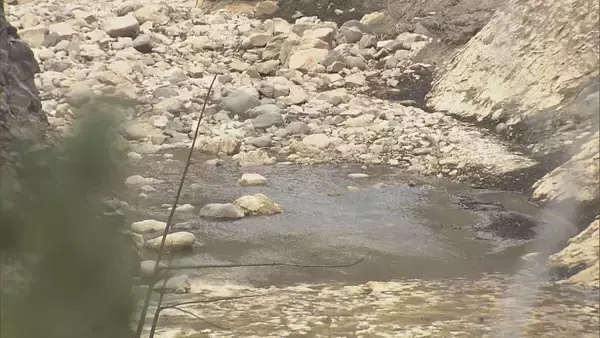 「水不足深刻 愛知の豊川用水4度目の節水強化へ 給食の牛乳パックは“洗わず”燃えるゴミに 宇連ダム周辺降水量は今月“ゼロ”」の画像