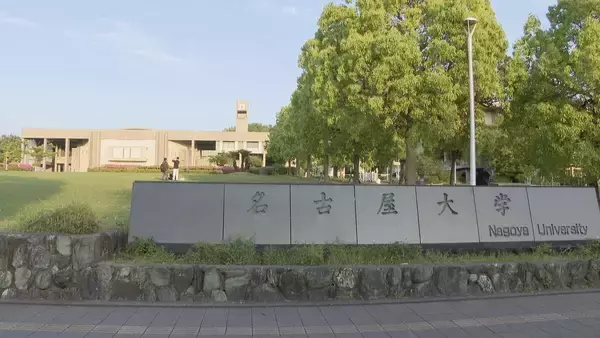 「「猫にマタタビ」を科学的に証明 ネコがマタタビに反応するのはなぜ？名古屋大学などの研究チームが発表」の画像