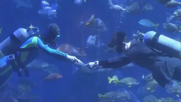 約3000匹の魚たちに囲まれ“水中入社式” ｢お客様と生き物の架け橋となれるように｣ 水槽の中から夢誓う 三重･鳥羽水族館