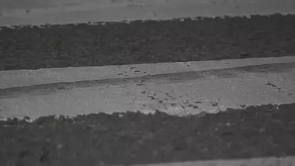 「飲酒運転による事故相次ぐ…1人死亡 愛知･小牧市の25歳会社役員と三重･津市の22歳会社員を逮捕」の画像