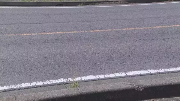 愛知・岐阜・三重で交通事故相次ぐ 1人死亡２人重体 このうち大垣市の交差点で自転車の75歳男性が右折トラックにはねられ死亡