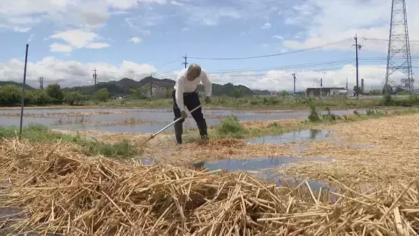 「水没した車や陥没した道路… 東海地方にも被害もたらした台風6号 各地で6月の観測史上最大の雨量に 川の増水や地盤の緩みに引き続き注意」の画像