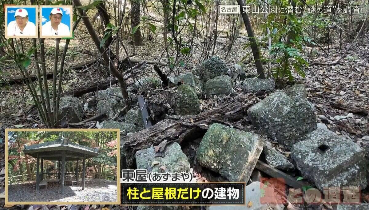 かつては東山動植物園に繋がっていた！？愛知の東山公園に潜む“謎の道”を大調査【道との遭遇】