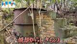「かつては東山動植物園に繋がっていた！？愛知の東山公園に潜む“謎の道”を大調査【道との遭遇】」の画像4