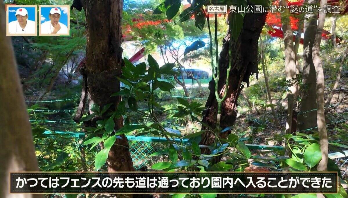 かつては東山動植物園に繋がっていた！？愛知の東山公園に潜む“謎の道”を大調査【道との遭遇】