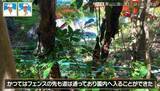 「かつては東山動植物園に繋がっていた！？愛知の東山公園に潜む“謎の道”を大調査【道との遭遇】」の画像6