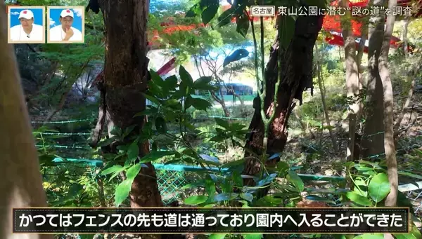 「かつては東山動植物園に繋がっていた！？愛知の東山公園に潜む“謎の道”を大調査【道との遭遇】」の画像