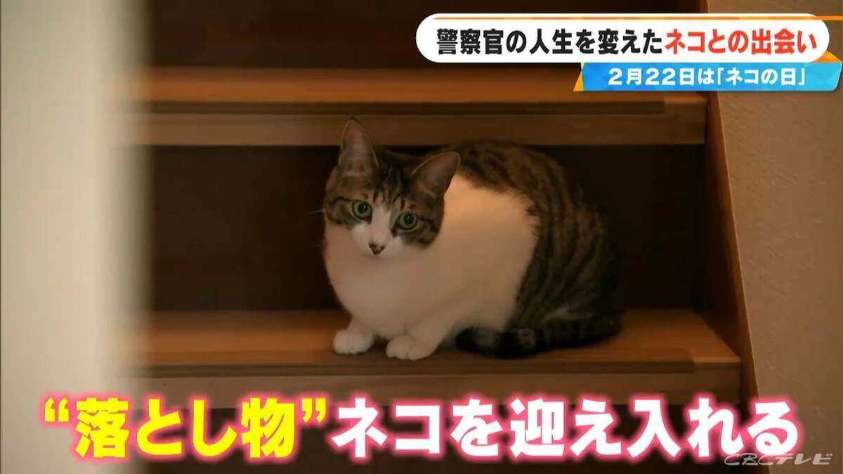 元警察官の50歳女性 警察を辞め一軒家を購入しペットホテル開業  “落とし物”として出逢ったネコを迎え入れたのがきっかけ