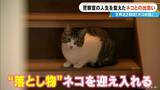 「元警察官の50歳女性 警察を辞め一軒家を購入しペットホテル開業  “落とし物”として出逢ったネコを迎え入れたのがきっかけ」の画像2