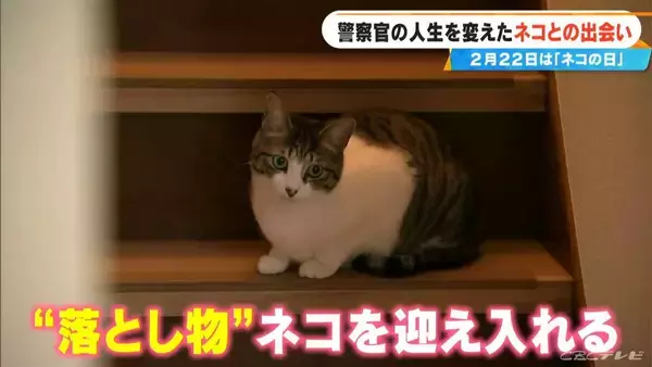 「元警察官の50歳女性 警察を辞め一軒家を購入しペットホテル開業  “落とし物”として出逢ったネコを迎え入れたのがきっかけ」の画像