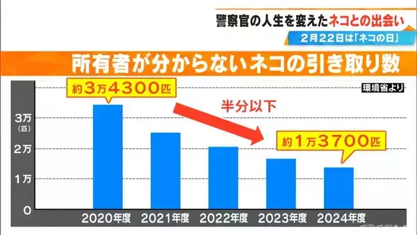 「元警察官の50歳女性 警察を辞め一軒家を購入しペットホテル開業  “落とし物”として出逢ったネコを迎え入れたのがきっかけ」の画像