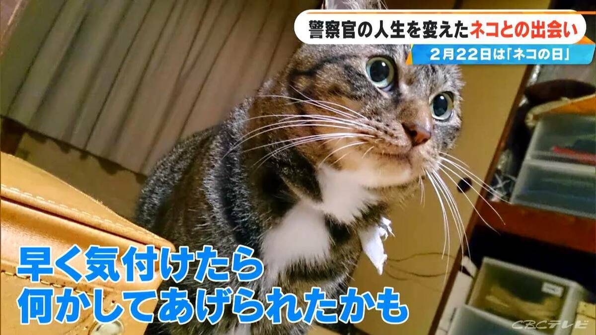 元警察官の50歳女性 警察を辞め一軒家を購入しペットホテル開業  “落とし物”として出逢ったネコを迎え入れたのがきっかけ