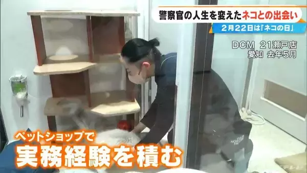 「元警察官の50歳女性 警察を辞め一軒家を購入しペットホテル開業  “落とし物”として出逢ったネコを迎え入れたのがきっかけ」の画像