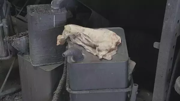 「｢仕事できるの？って…｣ 車の塗装作業に打撃 シンナー価格1.7倍 在庫もあと2週間 イラン情勢で石油由来の資材が不足」の画像