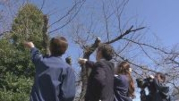 全国トップ 岐阜と高知で桜開花 ｢ことしは早い｣ 岐阜は平年･去年と比べ9日早く 2023年などと並び観測史上最も早い