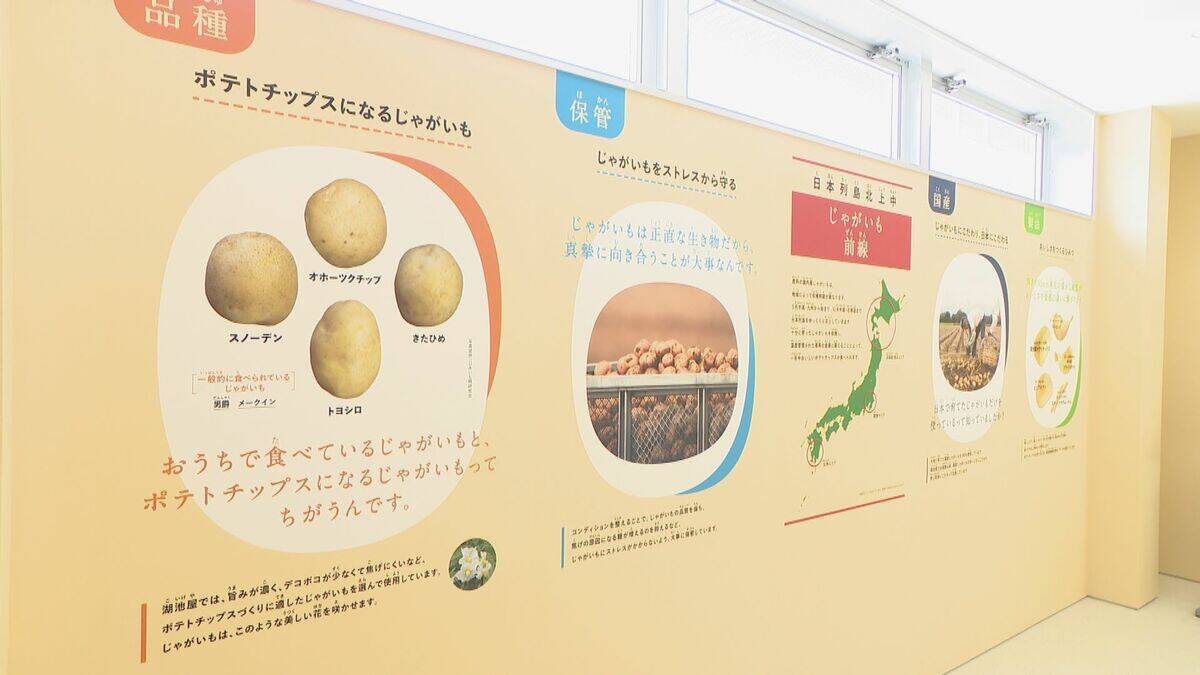 中部初｢湖池屋｣新工場完成 1時間に約2万5千袋のポテトチップス生産 CM出演の中島健人さん｢パッケージの生産工場の欄に注目してしまう｣ 岐阜･海津市