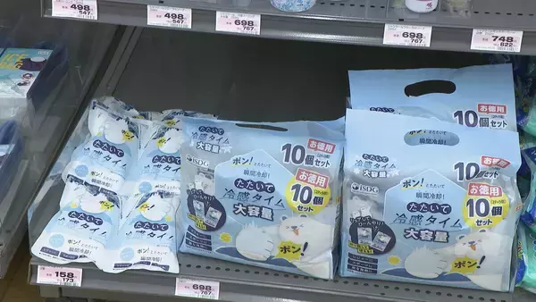 「防災グッズも暑さ対策“ひんやりアイテム”が人気…たたいて冷却するものや熊本地震後に売り上げが3倍になった冷感ボディシートなど」の画像