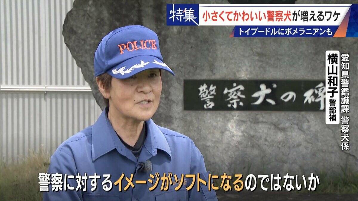 大型犬のイメージから一転… トイプードルなど小さくてかわいい警察犬が増加 全国の9割が“嘱託” 小型犬の採用が増えた理由とは