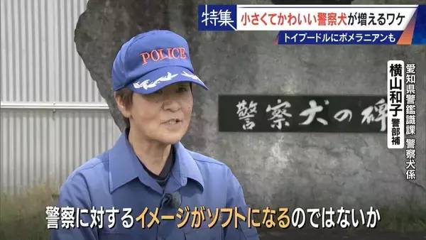「大型犬のイメージから一転… トイプードルなど小さくてかわいい警察犬が増加 全国の9割が“嘱託” 小型犬の採用が増えた理由とは」の画像