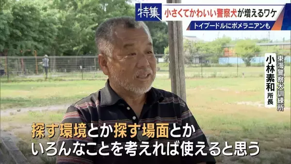 「大型犬のイメージから一転… トイプードルなど小さくてかわいい警察犬が増加 全国の9割が“嘱託” 小型犬の採用が増えた理由とは」の画像
