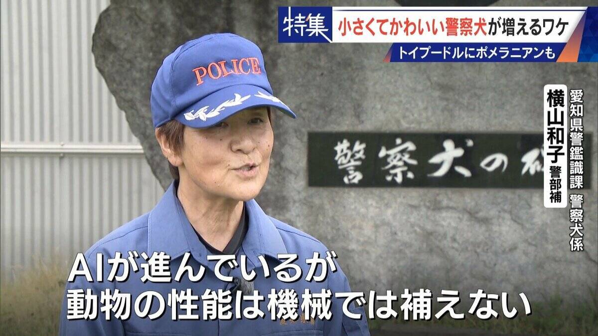 大型犬のイメージから一転… トイプードルなど小さくてかわいい警察犬が増加 全国の9割が“嘱託” 小型犬の採用が増えた理由とは