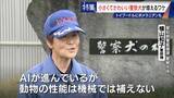 「大型犬のイメージから一転… トイプードルなど小さくてかわいい警察犬が増加 全国の9割が“嘱託” 小型犬の採用が増えた理由とは」の画像3