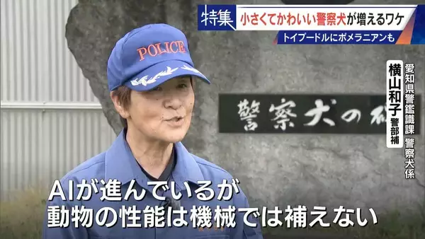 「大型犬のイメージから一転… トイプードルなど小さくてかわいい警察犬が増加 全国の9割が“嘱託” 小型犬の採用が増えた理由とは」の画像