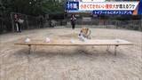 「大型犬のイメージから一転… トイプードルなど小さくてかわいい警察犬が増加 全国の9割が“嘱託” 小型犬の採用が増えた理由とは」の画像6