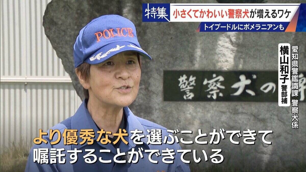 大型犬のイメージから一転… トイプードルなど小さくてかわいい警察犬が増加 全国の9割が“嘱託” 小型犬の採用が増えた理由とは