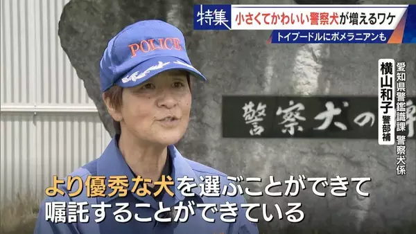「大型犬のイメージから一転… トイプードルなど小さくてかわいい警察犬が増加 全国の9割が“嘱託” 小型犬の採用が増えた理由とは」の画像