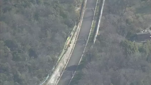 「名古屋・相生山緑地を横断する“弥富相生山線”の工事再開に反対　署名約1万5000筆を名古屋市に提出　河村たかし前市長が2014年に事業廃止も８割完成をふまえ広沢一郎市長が工事再開を表明」の画像