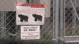 「｢仰向けで倒れたところガブガブと…｣ 岐阜･高山市でランニング中の男性がクマに襲われケガ 東海地方で今年度初めてのクマ被害」の画像1