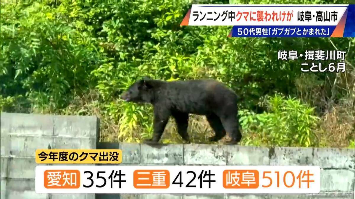 ｢仰向けで倒れたところガブガブと…｣ 岐阜･高山市でランニング中の男性がクマに襲われケガ 東海地方で今年度初めてのクマ被害